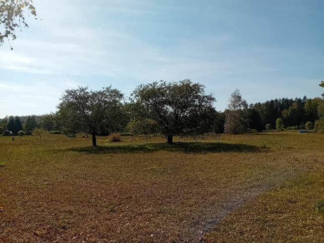 Działka budowlana Słójka gm. Szudziałowo Dziewiczy Ług,