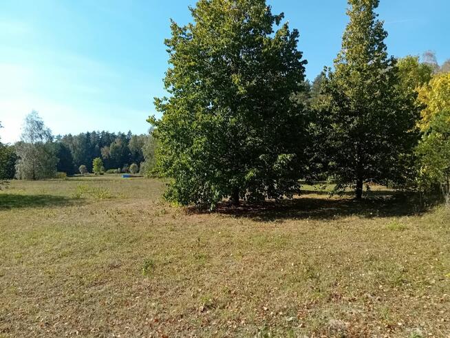 Działka budowlana Słójka gm. Szudziałowo Dziewiczy Ług,