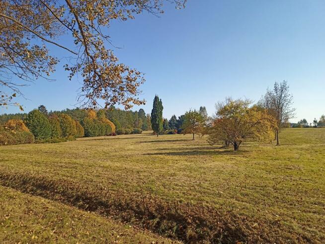 Działka budowlana Słójka gm. Szudziałowo Dziewiczy Ług,