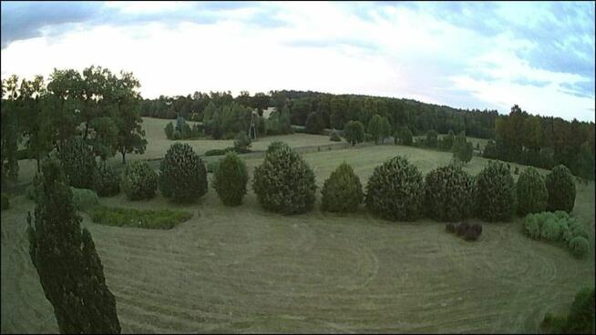 Działka budowlana Słójka gm. Szudziałowo Dziewiczy Ług,