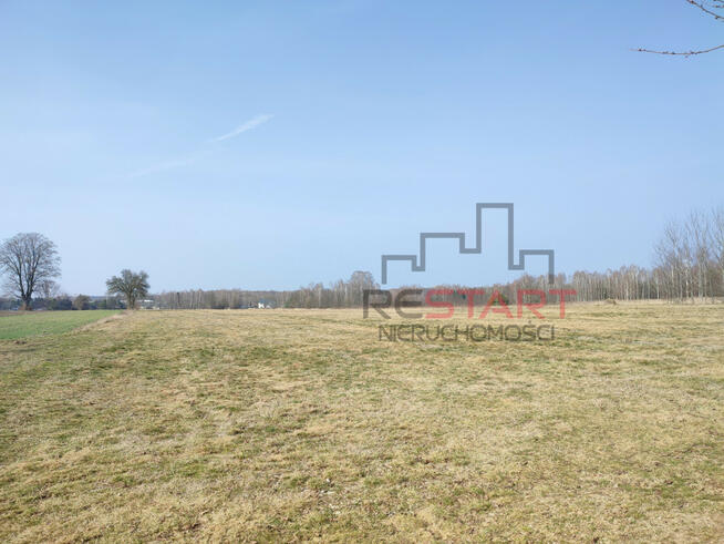 Działka rolna Wincentów gm. Puszcza Mariańska,