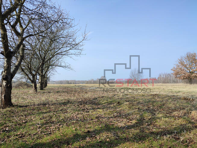 Działka rolna Wincentów gm. Puszcza Mariańska,