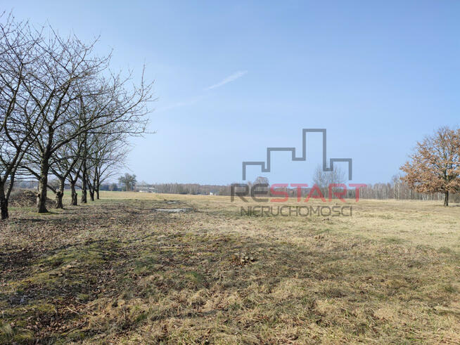 Działka rolna Wincentów gm. Puszcza Mariańska,