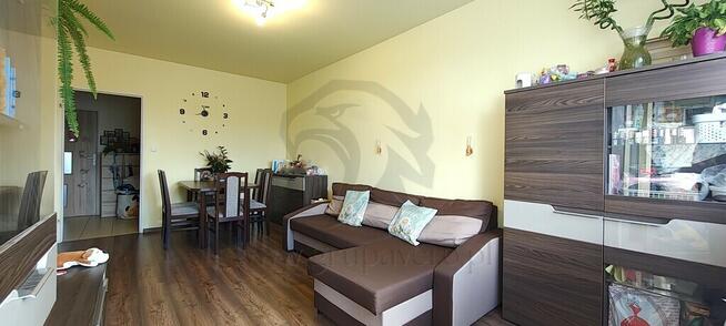 Złota rybka wzięła urlop, a klucze zostawiła