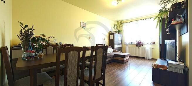 Złota rybka wzięła urlop, a klucze zostawiła