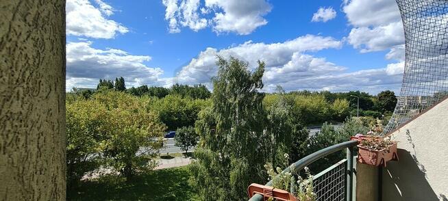 Złota rybka wzięła urlop, a klucze zostawiła