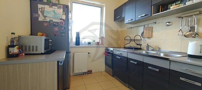 Złota rybka wzięła urlop, a klucze zostawiła