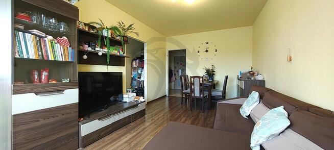 Złota rybka wzięła urlop, a klucze zostawiła