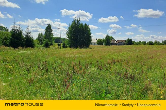 wolnostojący Franopol