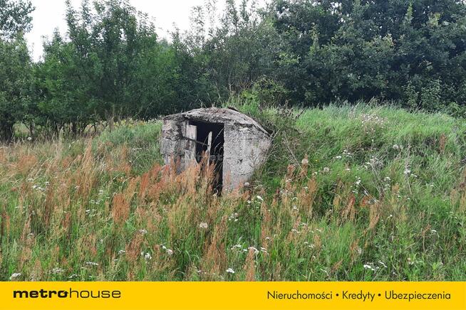 wolnostojący Franopol