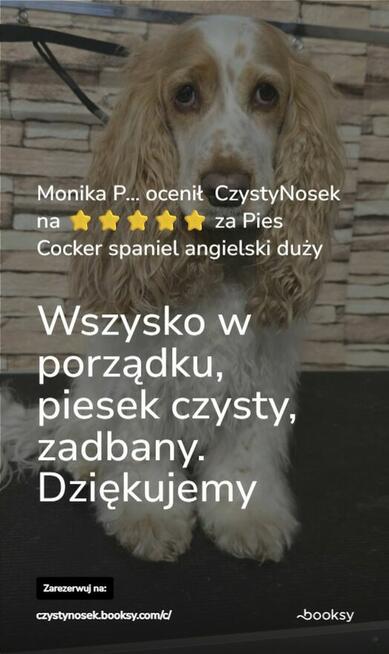 SPA dla psów / kotów