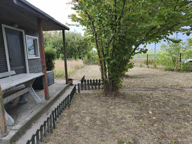 Prawa do działki ROD na Paluchu