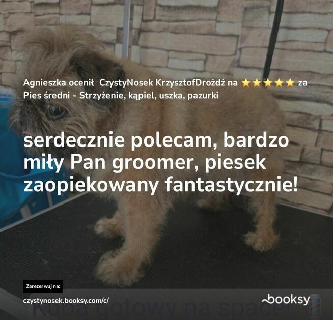 SPA dla psów / kotów