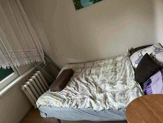 Mieszkanie do wynajęcia