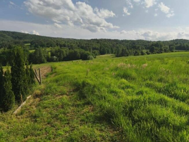 Lipnica Dolna - 7 hektarów 33 ary