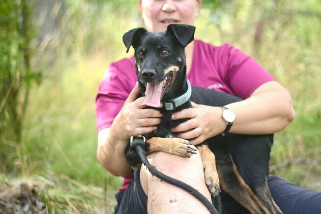 Nieduża urocza Sonia szuka domu!