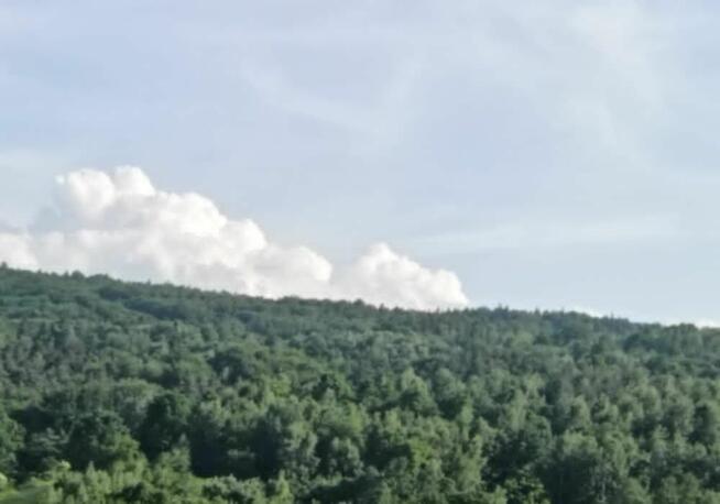 Lipnica Dolna - 7 hektarów 33 ary