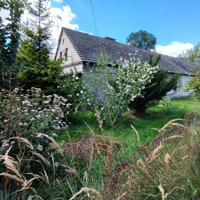 Wynajmę lub sprzedam