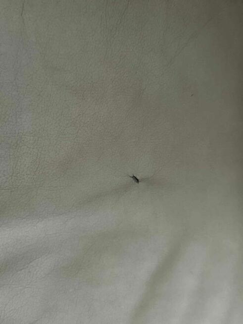 Kanapa skórzana z możliwością spania