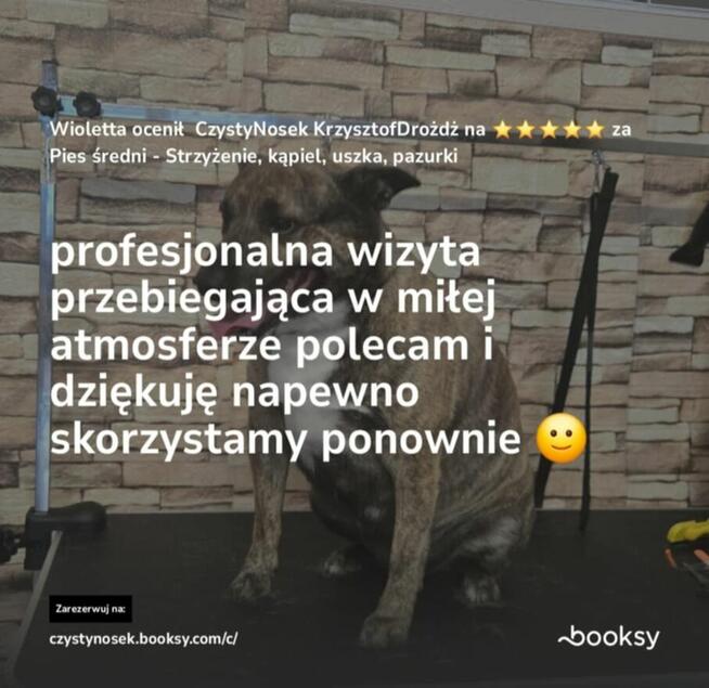 SPA dla psów / kotów