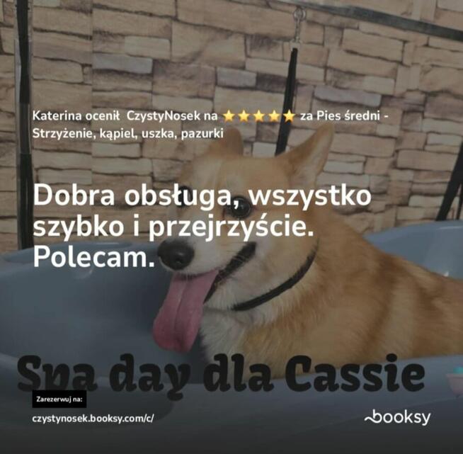 SPA dla psów / kotów