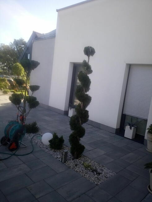 Ogrody i pielęgnacja