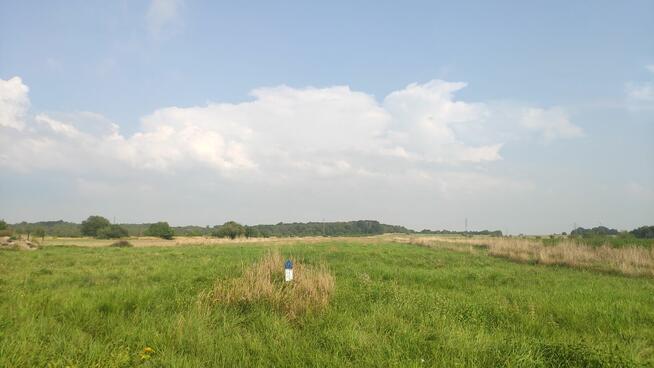 Dom Łopoń Wojnicz dzialka