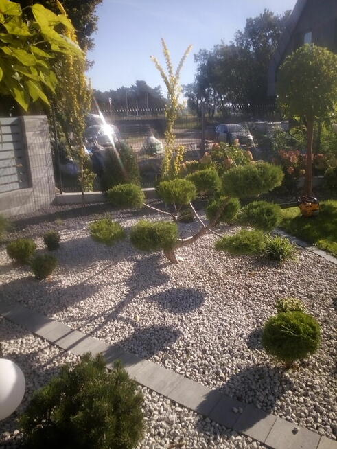 Ogrody i pielęgnacja