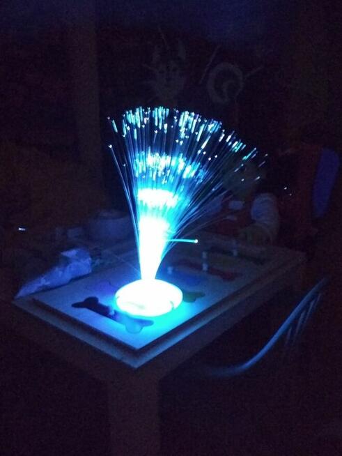 Zajęcia edukacyjne i terapeutyczne dla dzieci