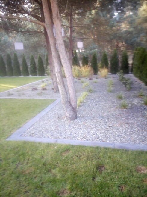 Ogrody i pielęgnacja