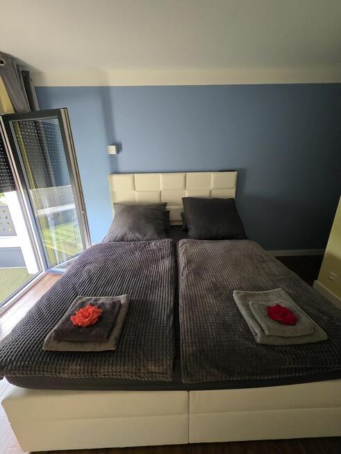 Tanie I kompleksowe usługi w zakresie Zakładania ,aranżacji