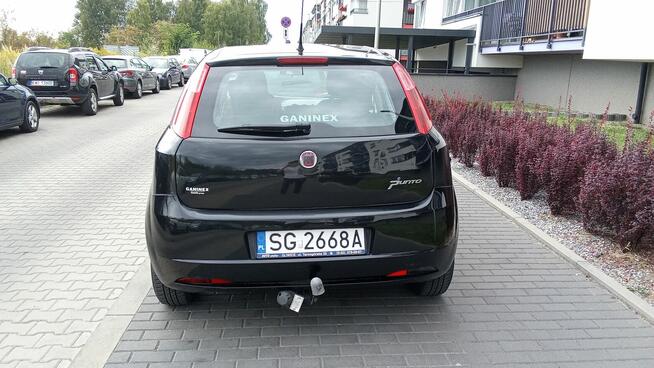 Fiat Punto na sprzedaż