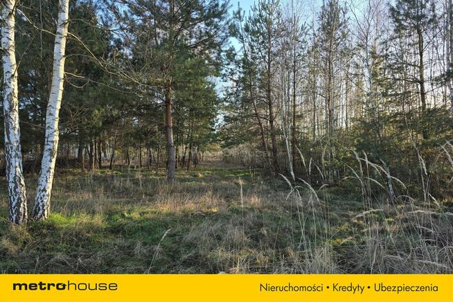 Sprzedaż siedliska lub zamiana na mieszkanie