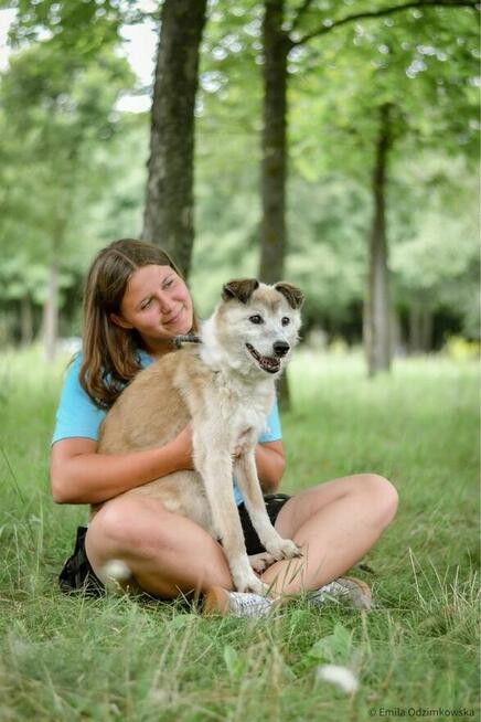 Granda- 17 letnia suczka do pilnej adopcji