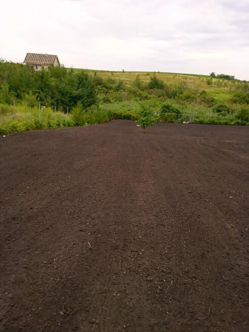 Ogrody i pielęgnacja