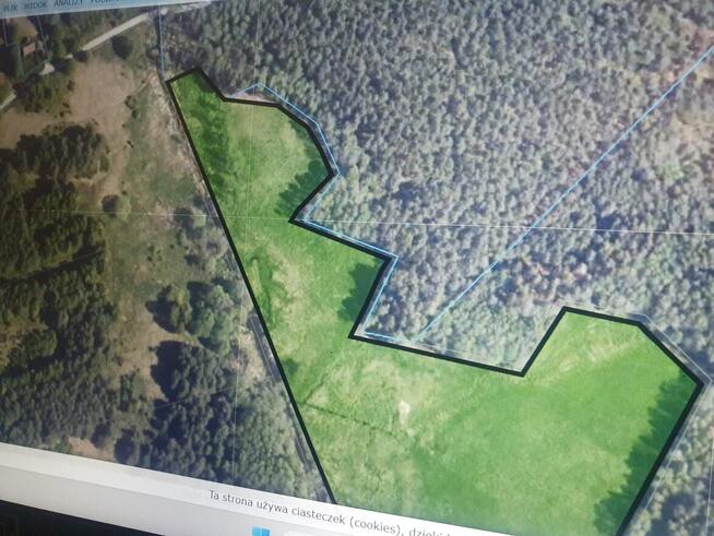 Sprzedam działkę rolną w Papierni 5,23 ha gm. Raków