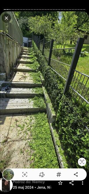 Tanie I kompleksowe usługi w zakresie Zakładania ,aranżacji