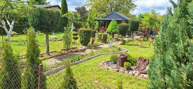 Sprzedam działkę ROD Marysin-Lubraniec