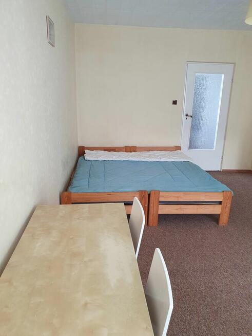 Wynajmę 2 pokoje blisko Politechniki