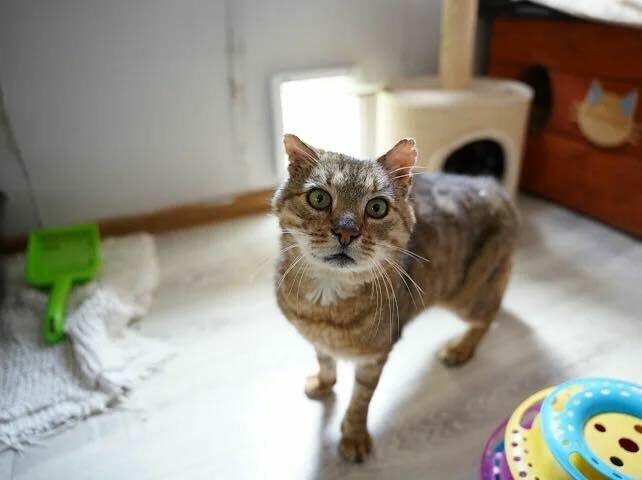 Moris - otwarty i towarzyski