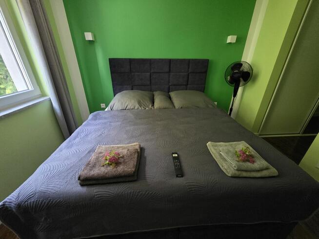 Tanie I kompleksowe usługi w zakresie Zakładania ,aranżacji