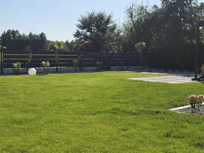 Tanie I kompleksowe usługi w zakresie Zakładania ,aranżacji