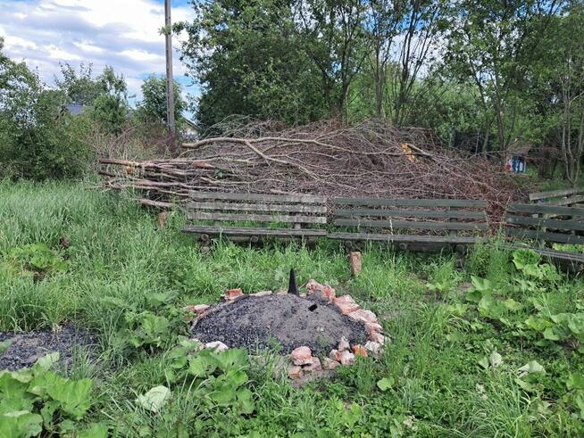 Działki ogrodnicze do wynajęcia