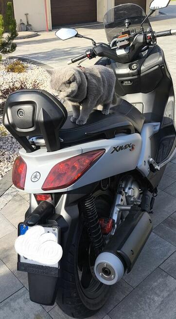 Yamaha x max 250