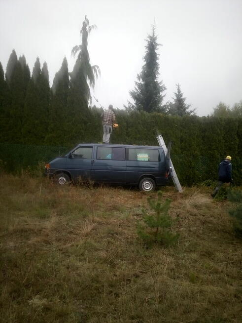 Ogrody i pielęgnacja