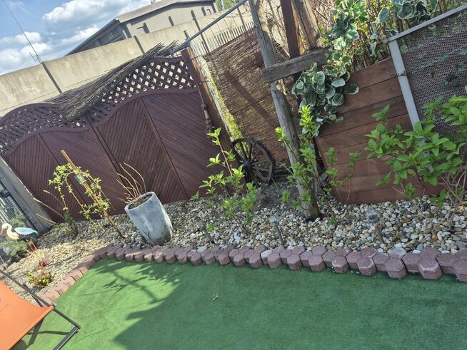 Tanie I kompleksowe usługi w zakresie Zakładania ,aranżacji