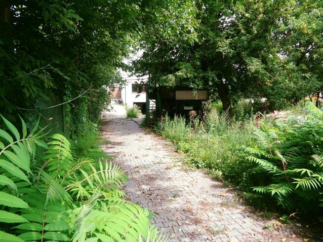 Sompolno – Lokal Handlowo/Usługowy