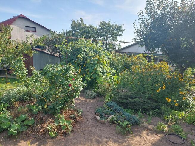 Działka ROD 385m2 z altaną 30,6m2 w Śremie