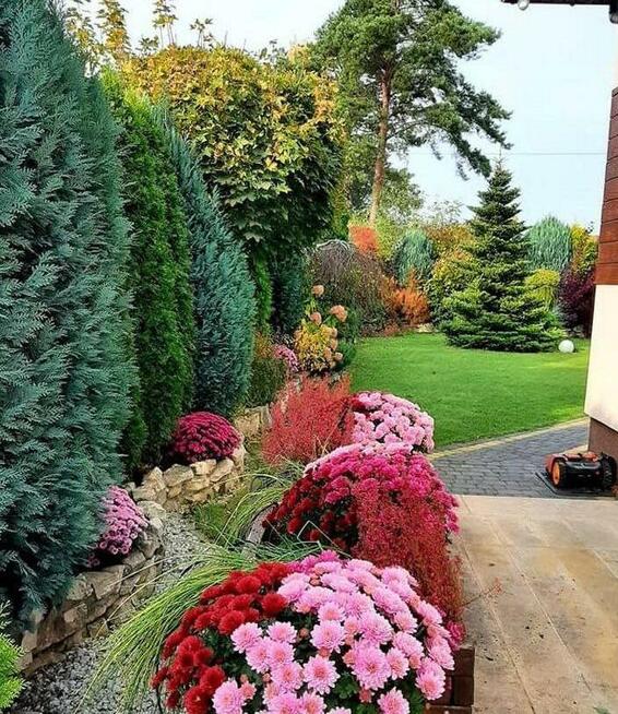 Projektowanie, wykonywanie ogrodów w Kielcach i okolicach