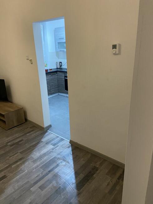 Mieszkanie do wynajecia